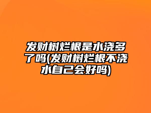 發(fā)財(cái)樹(shù)爛根是水澆多了嗎(發(fā)財(cái)樹(shù)爛根不澆水自己會(huì)好嗎)