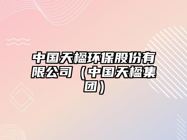 中國天楹環(huán)保股份有限公司（中國天楹集團）