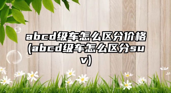 abcd級車怎么區(qū)分價格(abcd級車怎么區(qū)分suv)