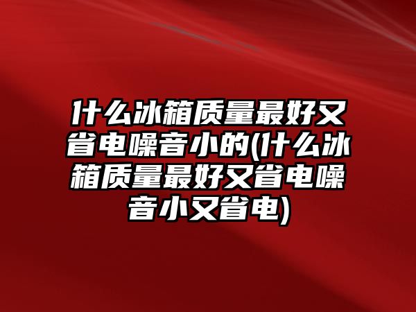 什么冰箱質(zhì)量最好又省電噪音小的(什么冰箱質(zhì)量最好又省電噪音小又省電)