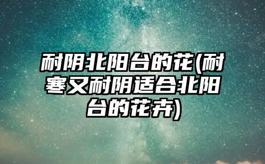 耐陰北陽臺的花(耐寒又耐陰適合北陽臺的花卉)