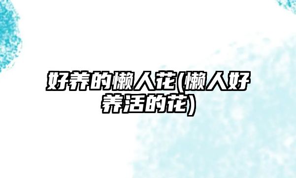 好養(yǎng)的懶人花(懶人好養(yǎng)活的花)