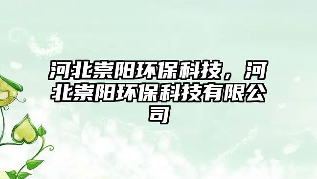 河北崇陽環(huán)?？萍?，河北崇陽環(huán)保科技有限公司