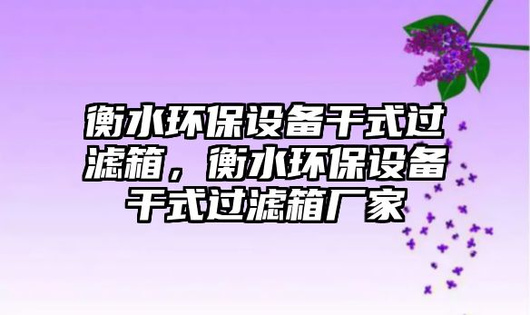 衡水環(huán)保設(shè)備干式過(guò)濾箱，衡水環(huán)保設(shè)備干式過(guò)濾箱廠家