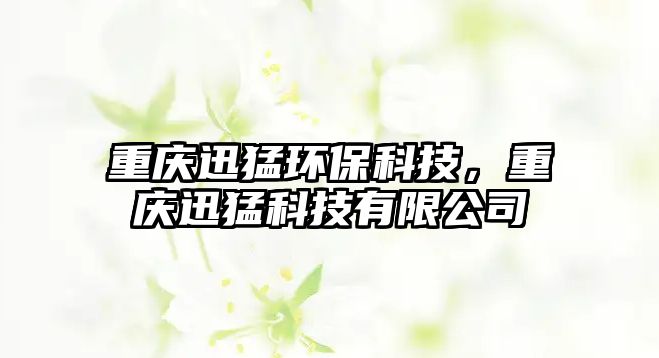 重慶迅猛環(huán)?？萍?，重慶迅猛科技有限公司