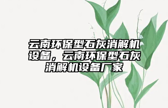 云南環(huán)保型石灰消解機(jī)設(shè)備，云南環(huán)保型石灰消解機(jī)設(shè)備廠家