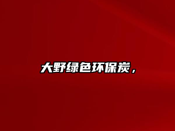 大野綠色環(huán)保炭，