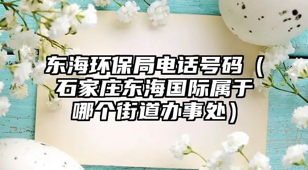東海環(huán)保局電話號碼（石家莊東海國際屬于哪個(gè)街道辦事處）