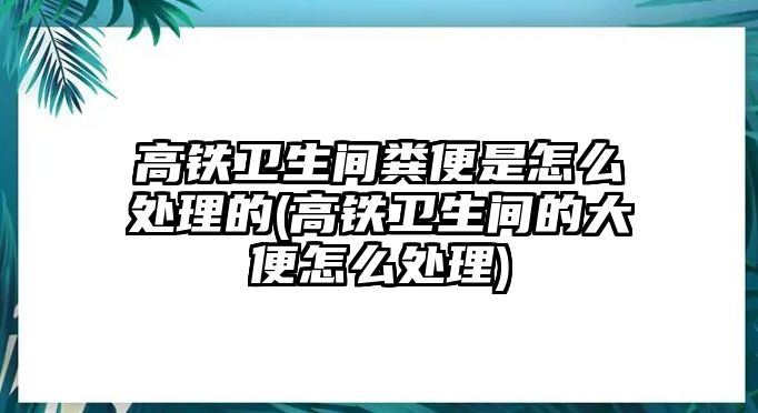 高鐵衛(wèi)生間糞便是怎么處理的(高鐵衛(wèi)生間的大便怎么處理)