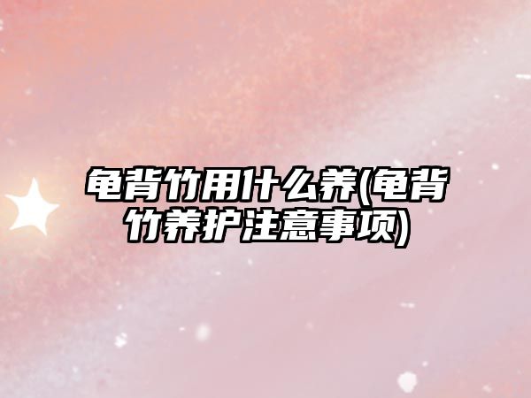 龜背竹用什么養(yǎng)(龜背竹養(yǎng)護(hù)注意事項(xiàng))