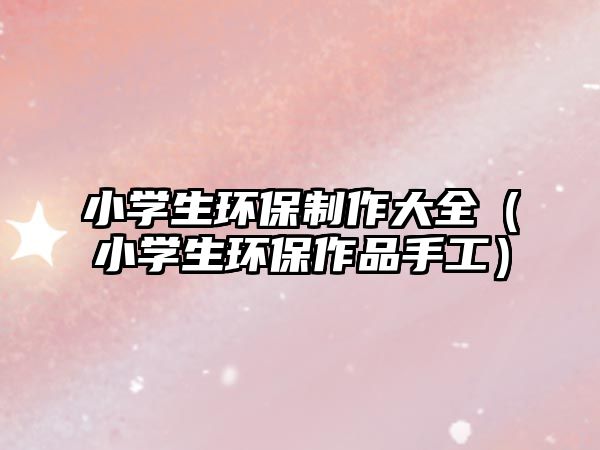 小學(xué)生環(huán)保制作大全（小學(xué)生環(huán)保作品手工）