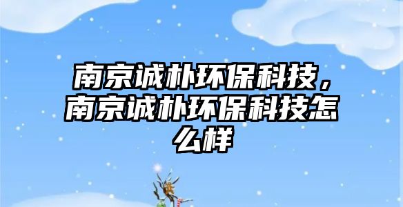 南京誠(chéng)樸環(huán)?？萍?，南京誠(chéng)樸環(huán)?？萍荚趺礃? class=