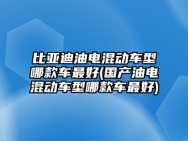 比亞迪油電混動車型哪款車最好(國產油電混動車型哪款車最好)