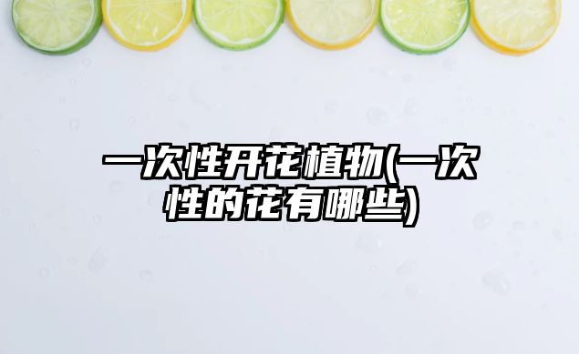 一次性開(kāi)花植物(一次性的花有哪些)