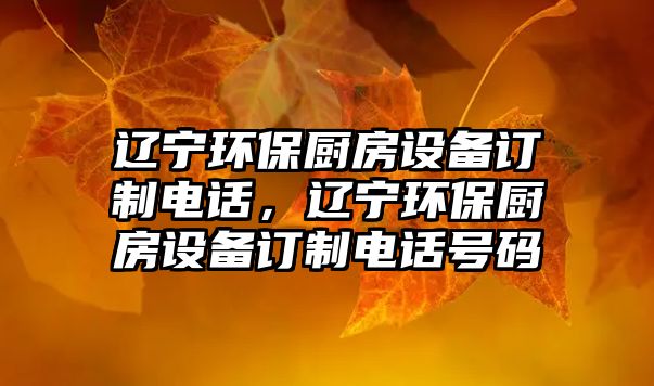 遼寧環(huán)保廚房設(shè)備訂制電話，遼寧環(huán)保廚房設(shè)備訂制電話號(hào)碼