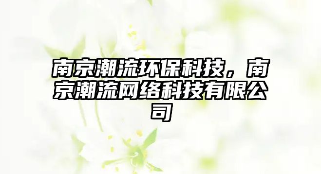 南京潮流環(huán)保科技，南京潮流網(wǎng)絡(luò)科技有限公司