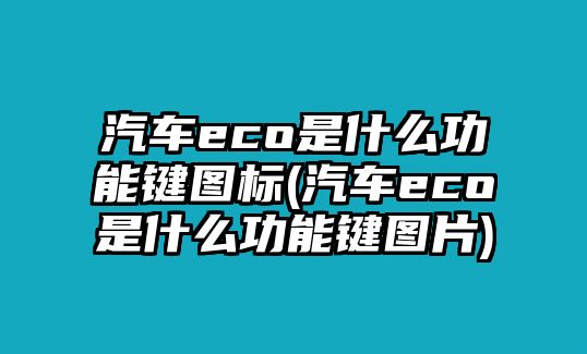 汽車eco是什么功能鍵圖標(biāo)(汽車eco是什么功能鍵圖片)