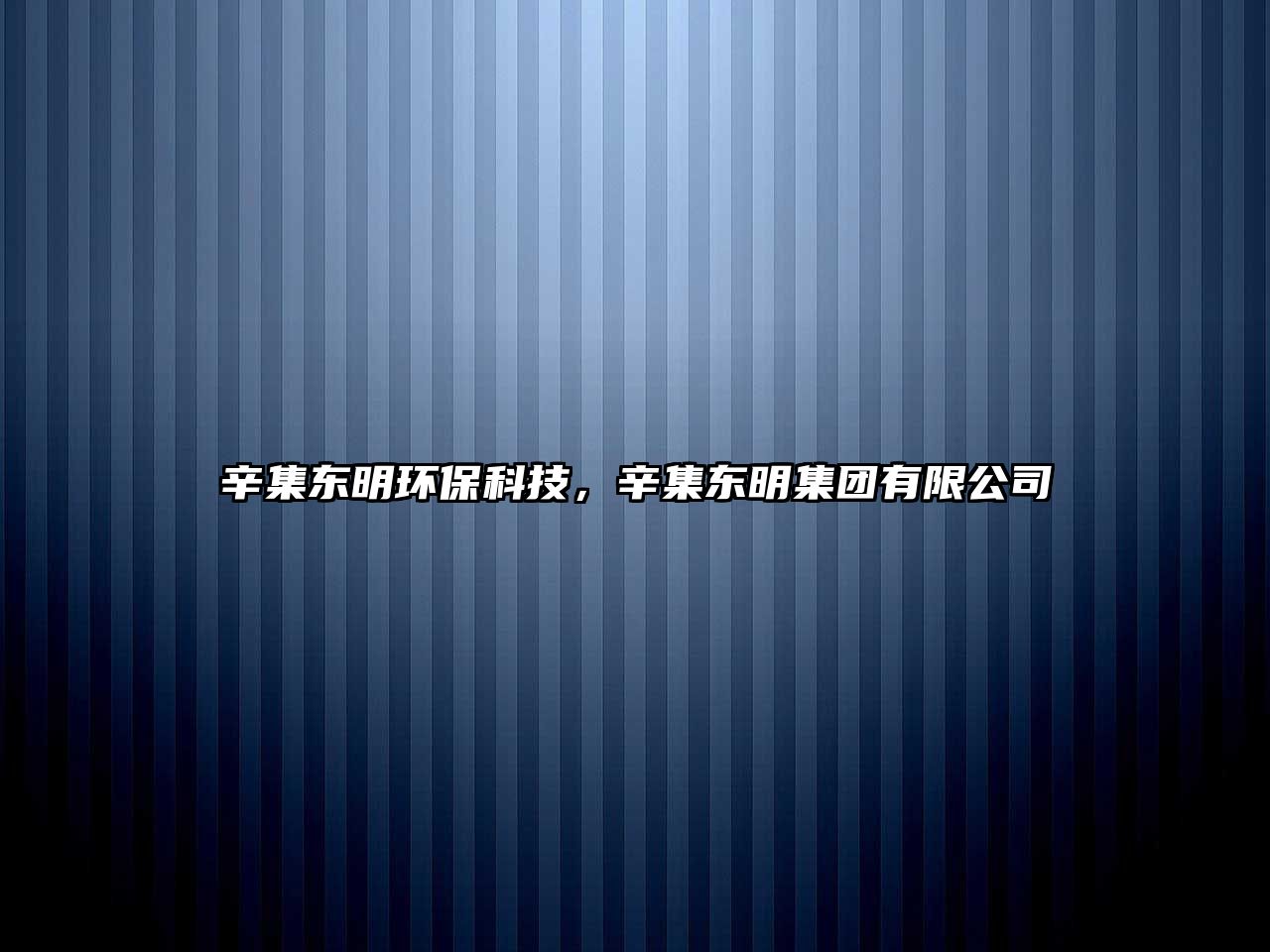 辛集東明環(huán)?？萍迹良瘱|明集團(tuán)有限公司