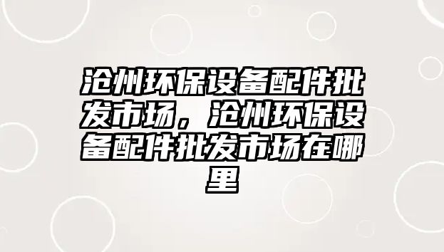 滄州環(huán)保設(shè)備配件批發(fā)市場(chǎng)，滄州環(huán)保設(shè)備配件批發(fā)市場(chǎng)在哪里