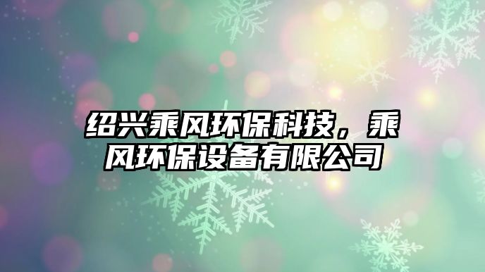 紹興乘風(fēng)環(huán)?？萍?，乘風(fēng)環(huán)保設(shè)備有限公司