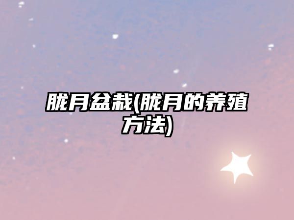 朧月盆栽(朧月的養(yǎng)殖方法)