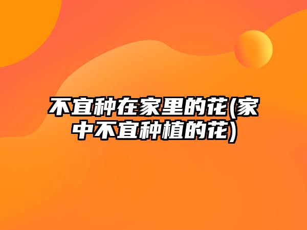 不宜種在家里的花(家中不宜種植的花)