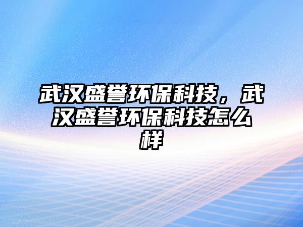 武漢盛譽(yù)環(huán)?？萍迹錆h盛譽(yù)環(huán)?？萍荚趺礃?/> 
									</a>
									<h4 class=