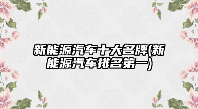 新能源汽車十大名牌(新能源汽車排名第一)