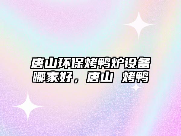 唐山環(huán)?？绝啝t設(shè)備哪家好，唐山 烤鴨