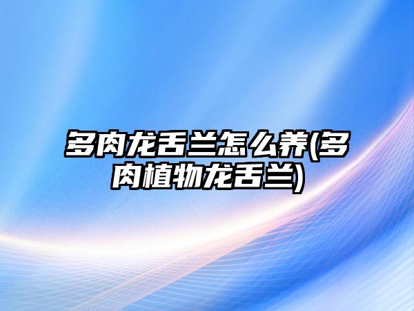 多肉龍舌蘭怎么養(yǎng)(多肉植物龍舌蘭)