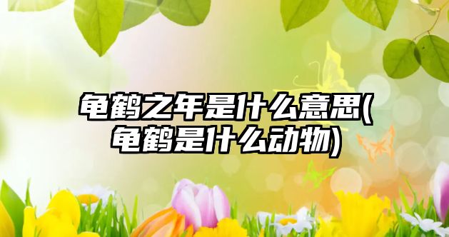 龜鶴之年是什么意思(龜鶴是什么動(dòng)物)