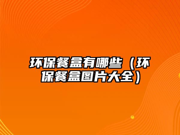 環(huán)保餐盒有哪些（環(huán)保餐盒圖片大全）