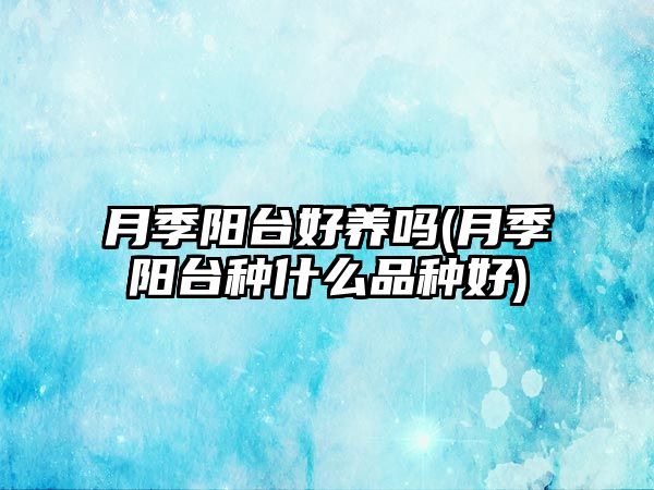 月季陽(yáng)臺(tái)好養(yǎng)嗎(月季陽(yáng)臺(tái)種什么品種好)