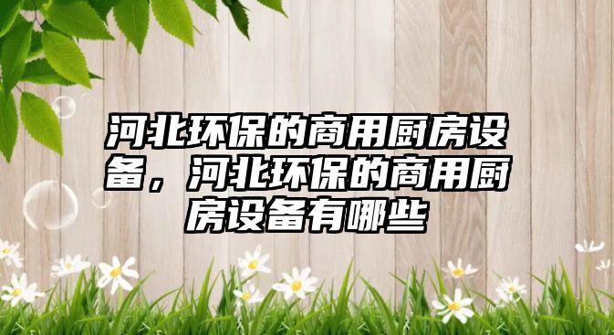 河北環(huán)保的商用廚房設備，河北環(huán)保的商用廚房設備有哪些
