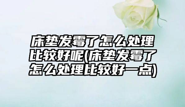 床墊發(fā)霉了怎么處理比較好呢(床墊發(fā)霉了怎么處理比較好一點(diǎn))