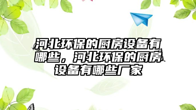 河北環(huán)保的廚房設(shè)備有哪些，河北環(huán)保的廚房設(shè)備有哪些廠家