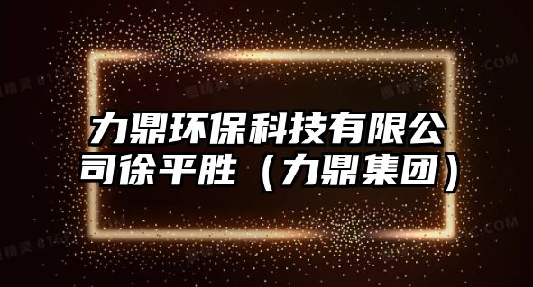 力鼎環(huán)?？萍加邢薰拘炱絼伲Χ瘓F(tuán)）