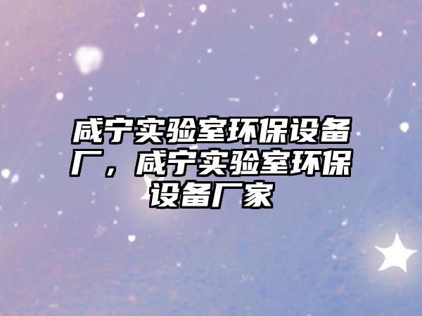 咸寧實(shí)驗(yàn)室環(huán)保設(shè)備廠，咸寧實(shí)驗(yàn)室環(huán)保設(shè)備廠家