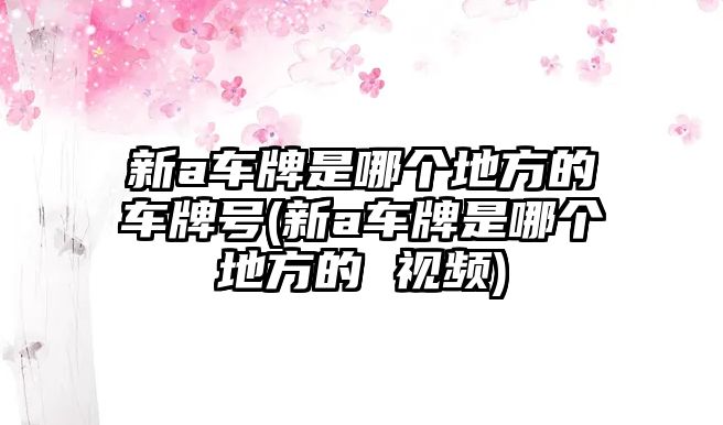新a車牌是哪個(gè)地方的車牌號(新a車牌是哪個(gè)地方的 視頻)