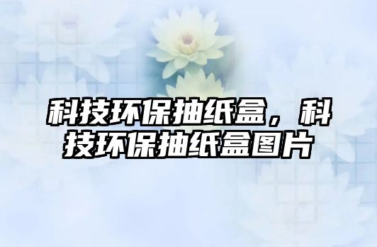 科技環(huán)保抽紙盒，科技環(huán)保抽紙盒圖片