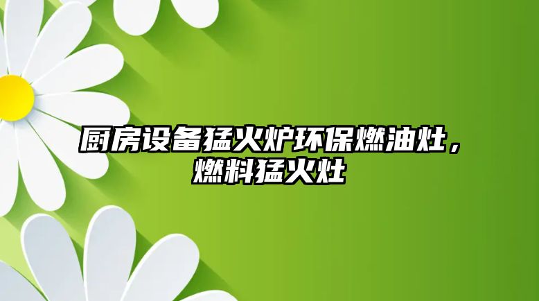 廚房設(shè)備猛火爐環(huán)保燃油灶，燃料猛火灶