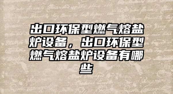 出口環(huán)保型燃?xì)馊埯}爐設(shè)備，出口環(huán)保型燃?xì)馊埯}爐設(shè)備有哪些