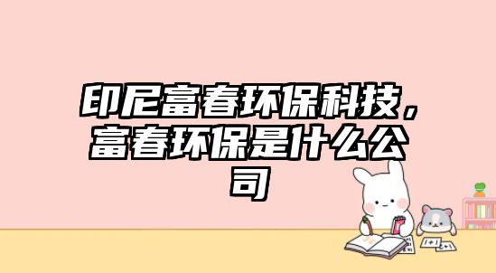 印尼富春環(huán)保科技，富春環(huán)保是什么公司
