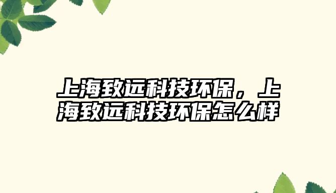 上海致遠科技環(huán)保，上海致遠科技環(huán)保怎么樣