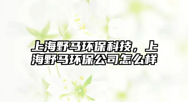 上海野馬環(huán)?？萍?，上海野馬環(huán)保公司怎么樣