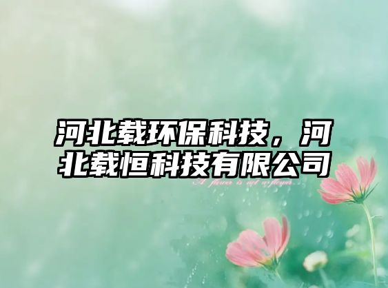 河北載環(huán)?？萍?，河北載恒科技有限公司