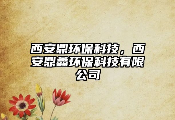 西安鼎環(huán)保科技，西安鼎鑫環(huán)?？萍加邢薰? class=