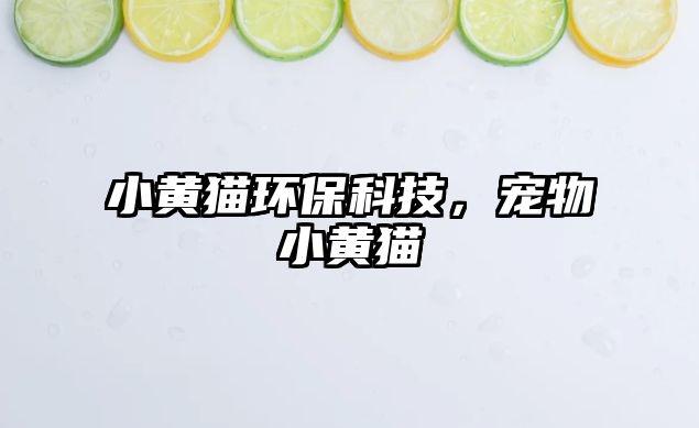 小黃貓環(huán)?？萍迹瑢櫸镄↑S貓