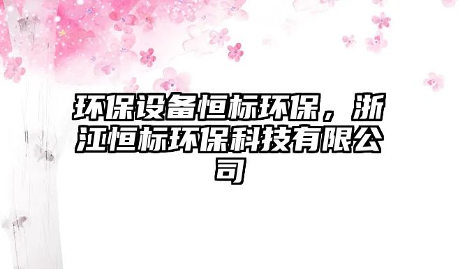 環(huán)保設(shè)備恒標(biāo)環(huán)保，浙江恒標(biāo)環(huán)保科技有限公司