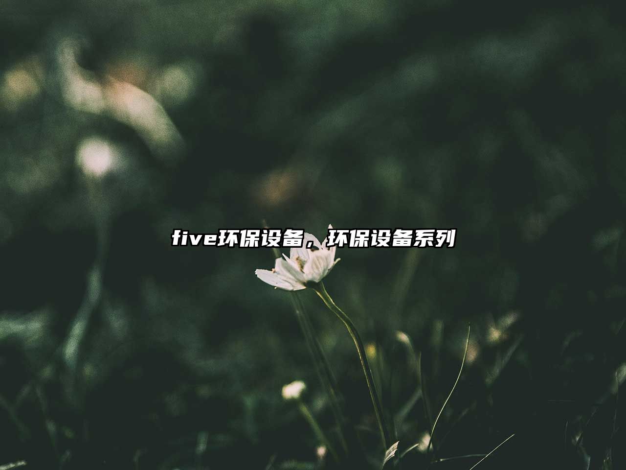 five環(huán)保設(shè)備，環(huán)保設(shè)備系列